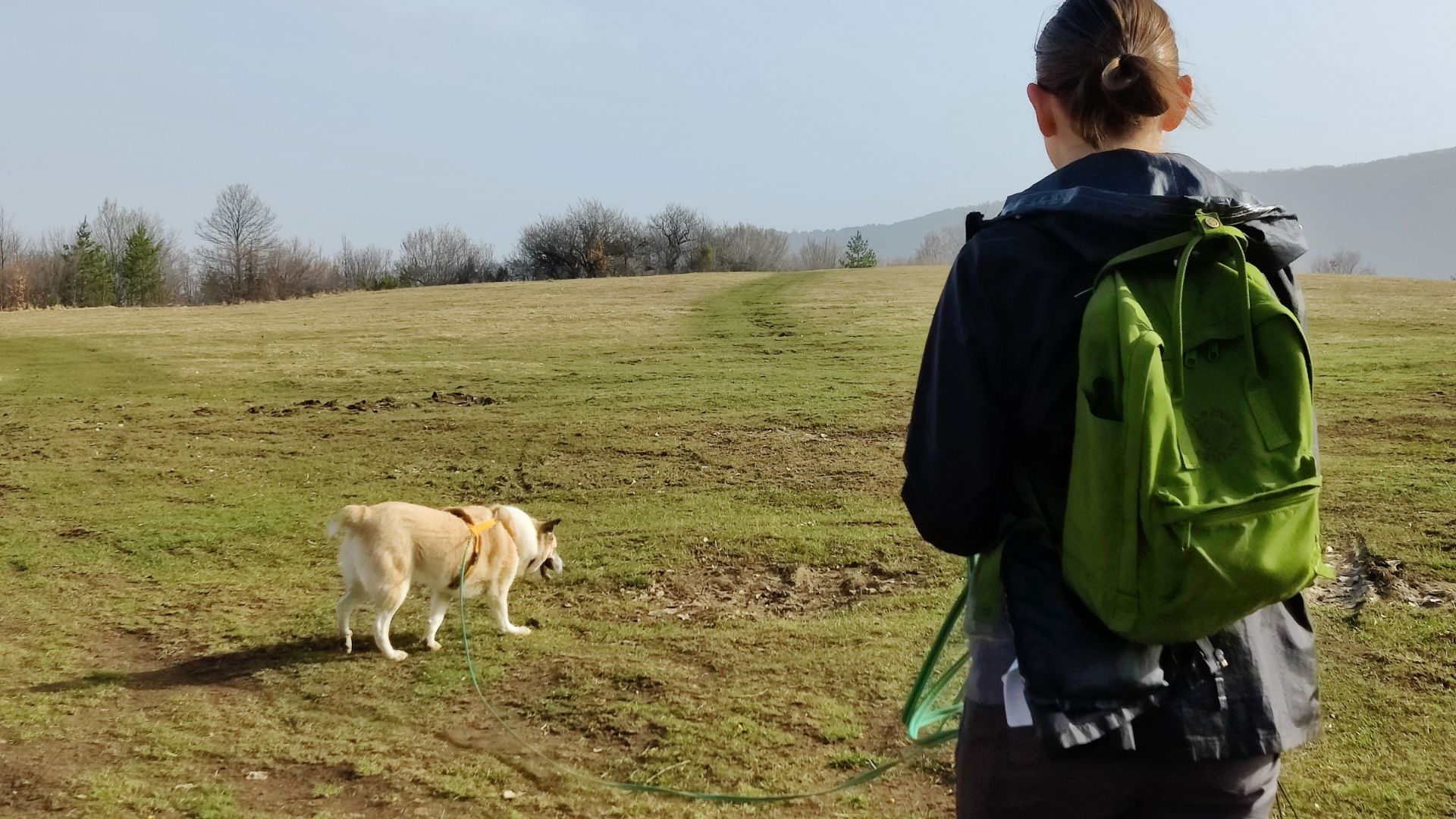 woman hiking with her dog outside on a field