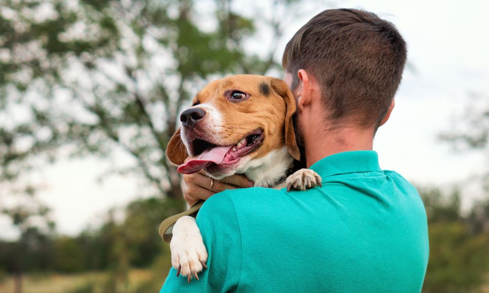 Man holding his brown dog.