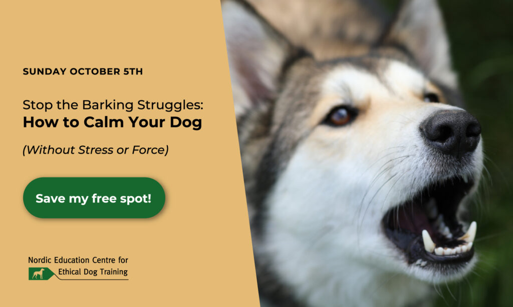 No more barking dog