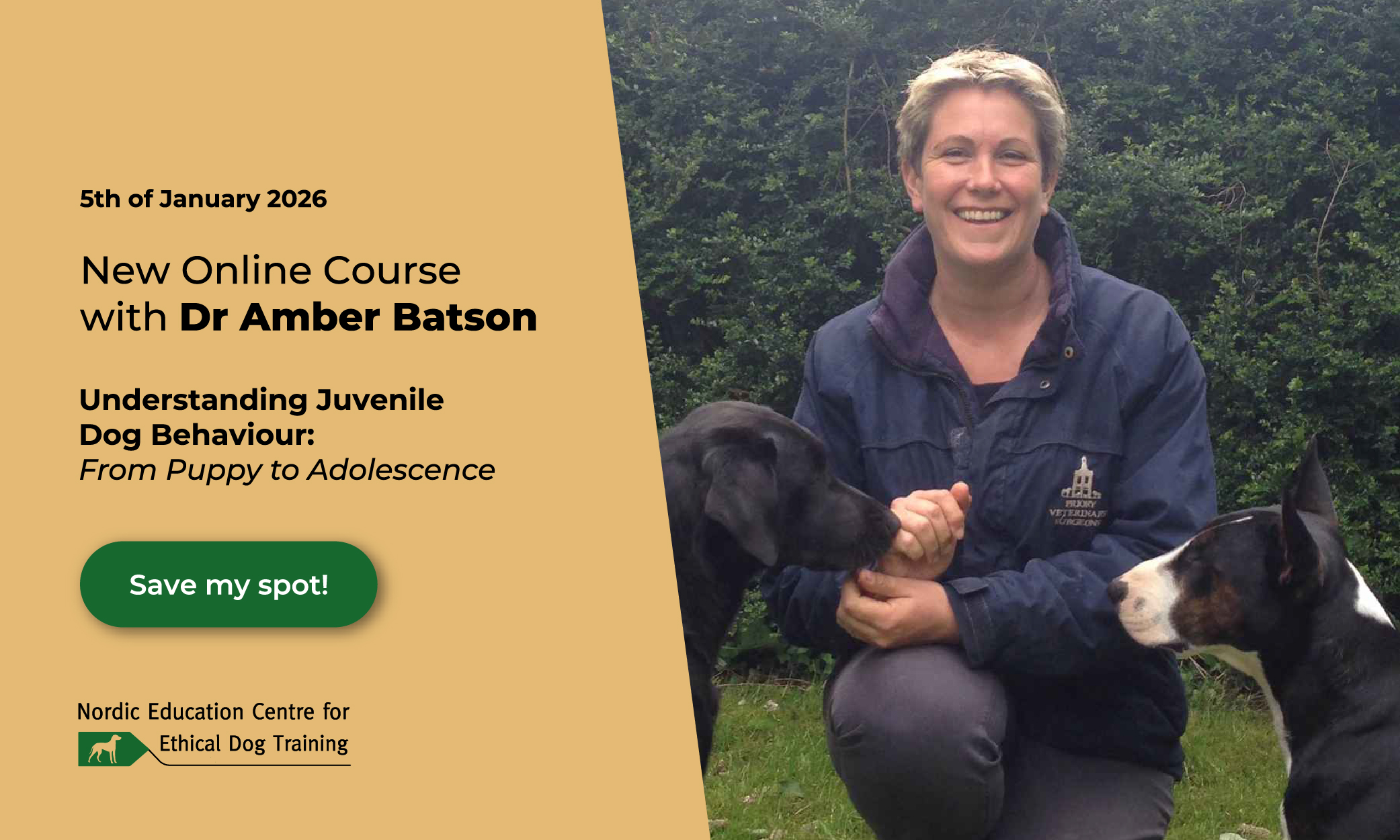 Understanding Juvenile Dog Behaviour